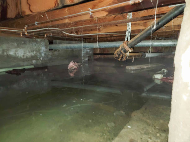 Best Water damage restoration process  in St Georges, DE