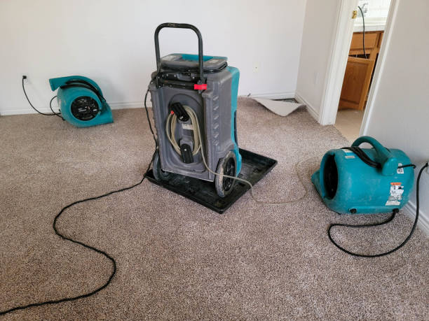  St Georges, DE Water damage restoration Pros