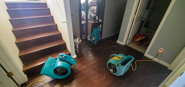Best Commercial water damage restoration  in St Georges, DE