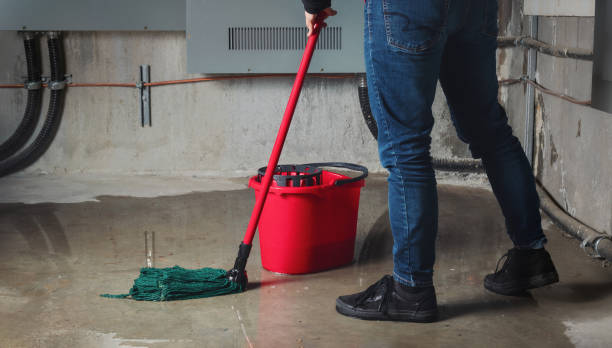 Best Water damage contractors near me  in St Georges, DE