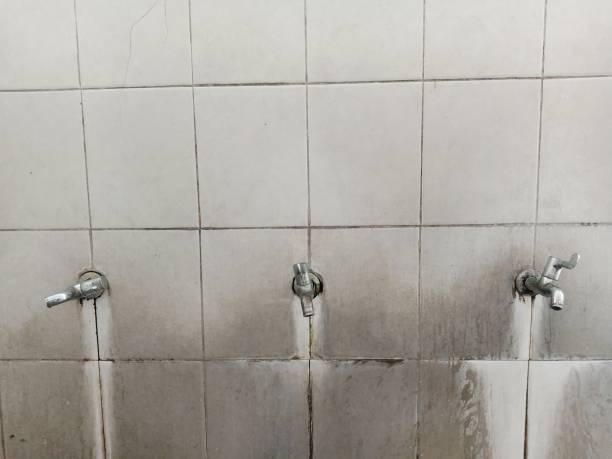 Best Flood restoration services  in St Georges, DE