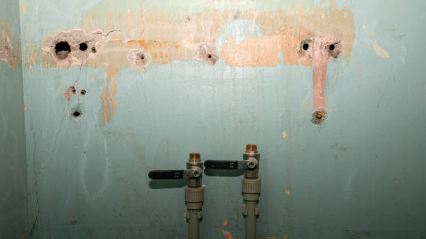 Best 24/7 water damage repair  in St Georges, DE