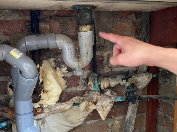 Best Basement water damage restoration  in St Georges, DE