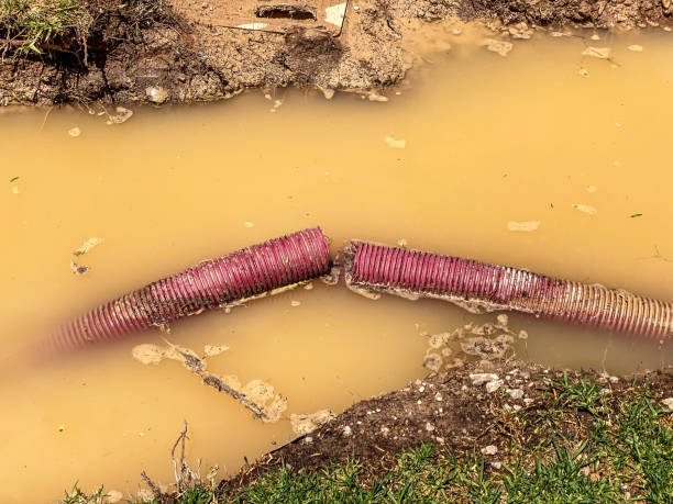 Best Emergency water damage restoration  in St Georges, DE