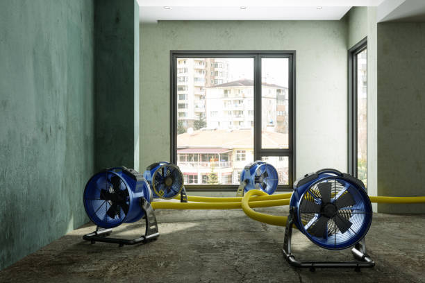 Best Professional water damage repair  in St Georges, DE